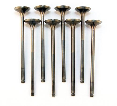 BLOX Racing — BLOX Racing High Compression Exhaust Valve Set for D-series SOHC VTEC (D16Z-Y)