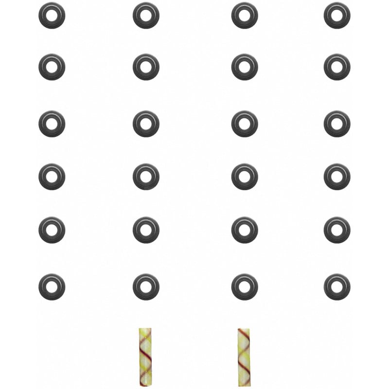 Fel-Pro — Fel-Pro Hyundai Santa Fe SS 72819 Engine Valve Stem Oil Seal Set