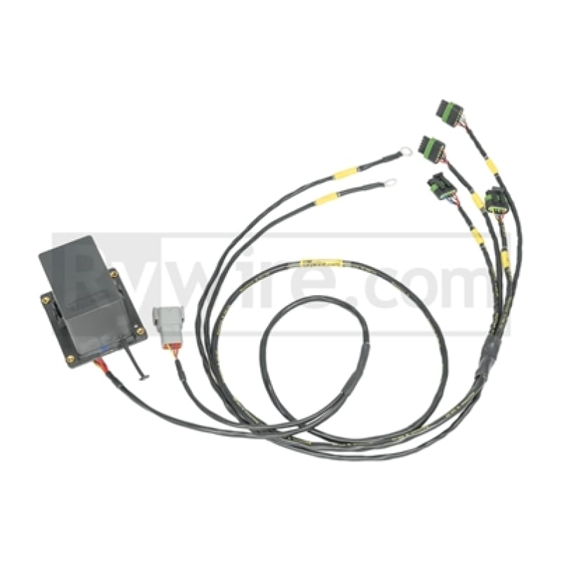 Rywire — Rywire IGBT (AEM/IGN-1A) Coil Sub-Harness for 2 Rotor Engines