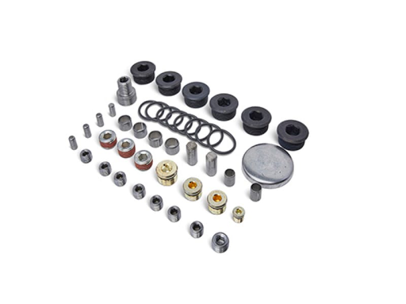 Ford Racing — Ford Racing Block Plug and Dowel Kit (For Z Blocks)
Block Plug Set