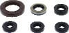 QuadBoss — QuadBoss Oil Seal Set