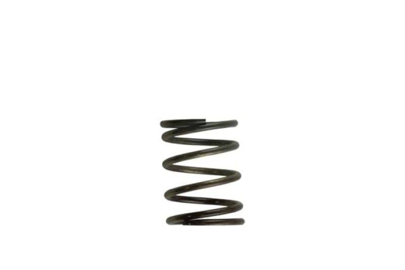 Turbosmart — Turbosmart WG40 5PSI Inner Spring Brown/Grey
Wastegate Spring