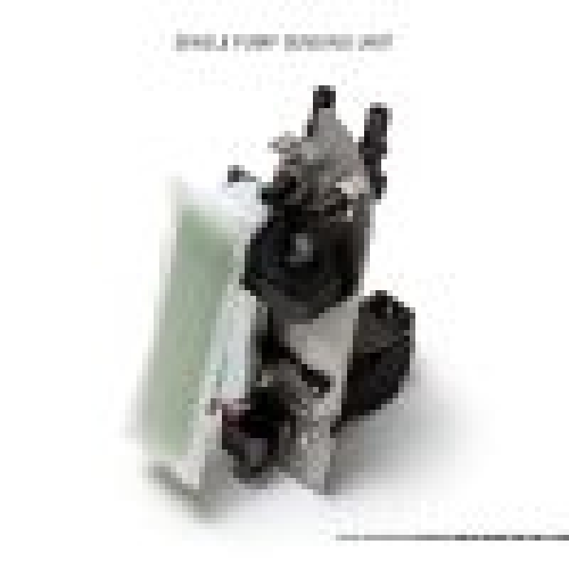 AMS — AMS Performance 2009+ Nissan GT-R R35 Omega Fuel System - Dual Pumps
Brushless Fuel Pump