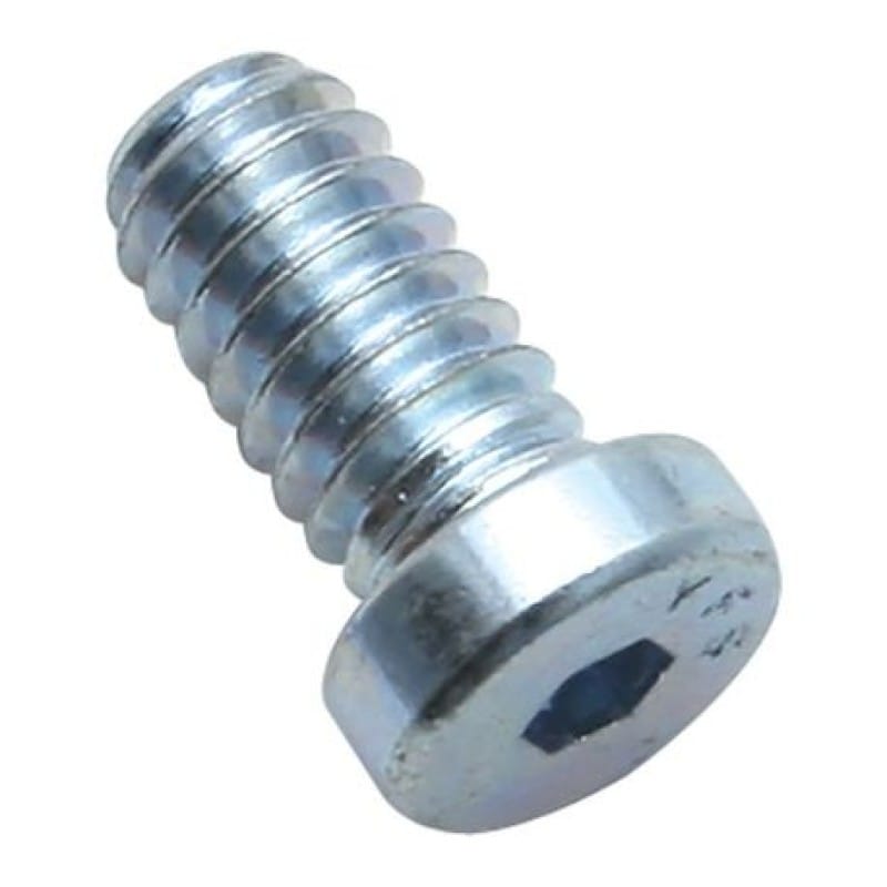 S&S Cycle — S&S Cycle 1/4-20 x 1/2in LSHC Screw