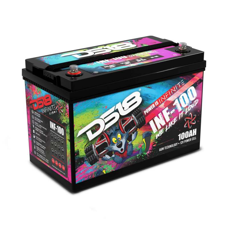 DS18 — DS18 2800 Watts 100 AH Infinite AGM Power Cell Battery