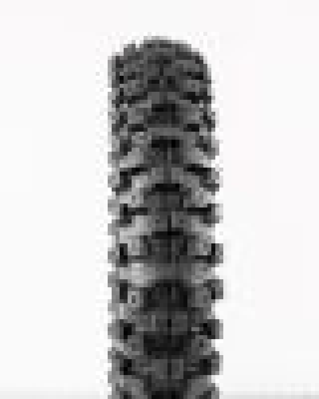 ProTaper — ProTaper MXT 04 Front Tire 60/100-12