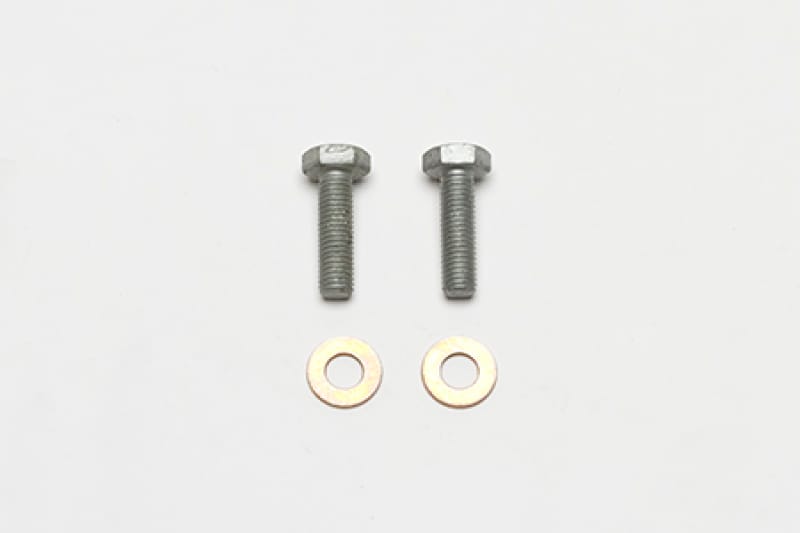 Wilwood — Wilwood Bolt Kit Bracket Mount M10-1.50 Thread - 2 Qty
BOLT KIT,BRACKET