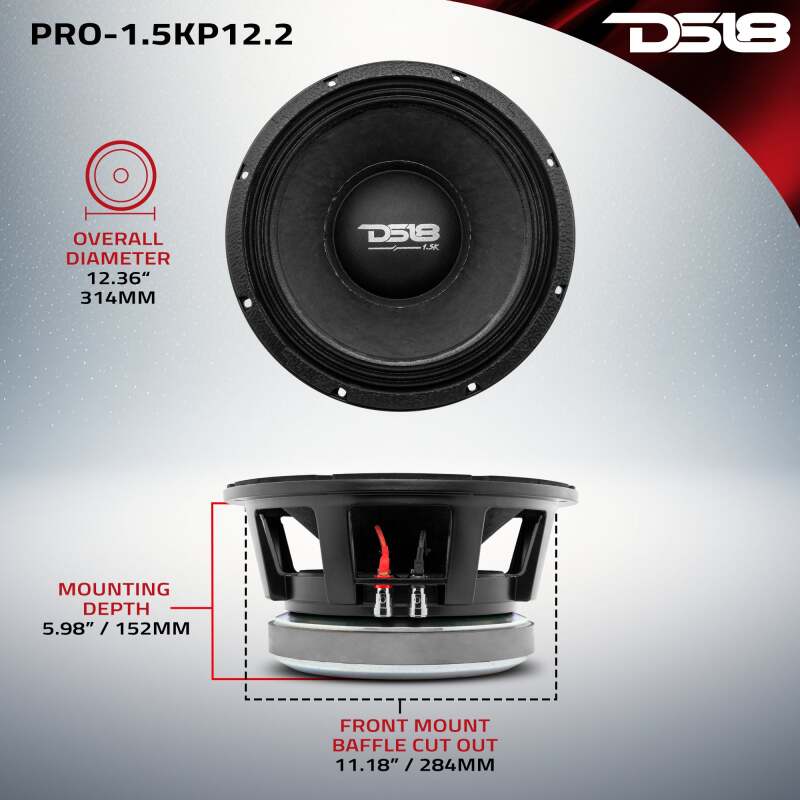 DS18 — DS18 12in 1500 Watts RMS 2 ohm Mid-Bass Loudspeaker