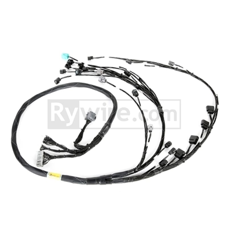 Rywire — Rywire Honda K24 Tucked Eng Harn w/02-04 K24 Crank/Knock Sensor (Front VSS Position)