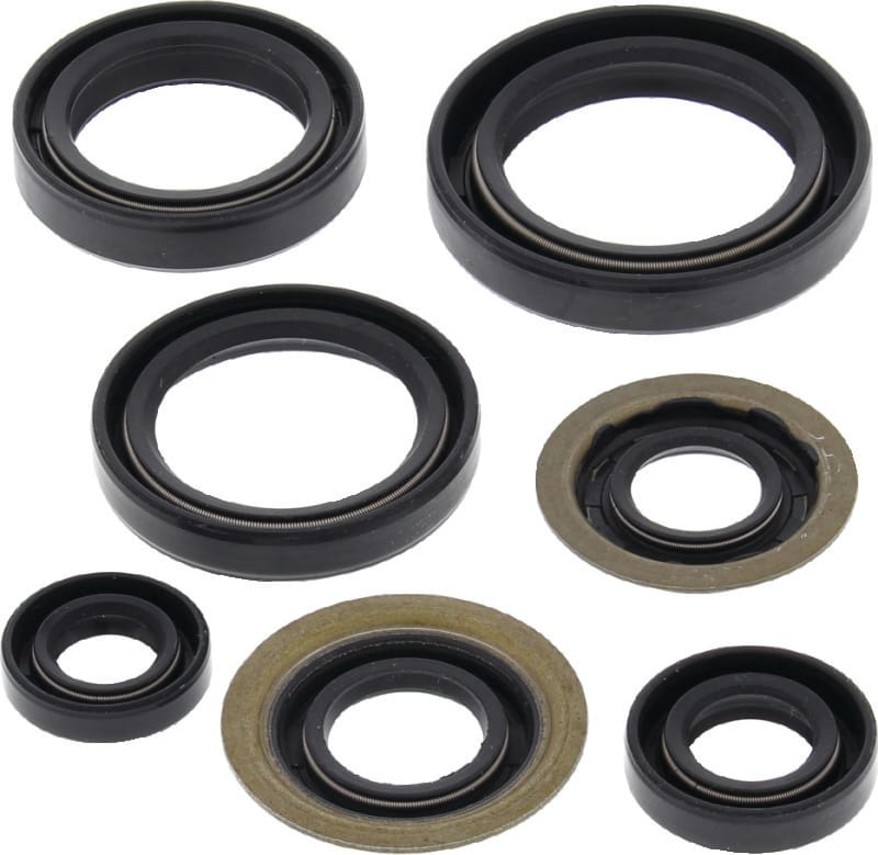 QuadBoss — QuadBoss Oil Seal Set