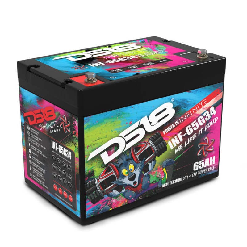 DS18 — DS18 2000 Watts 65 AH Infinite AGM Power Cell Battery Group 34