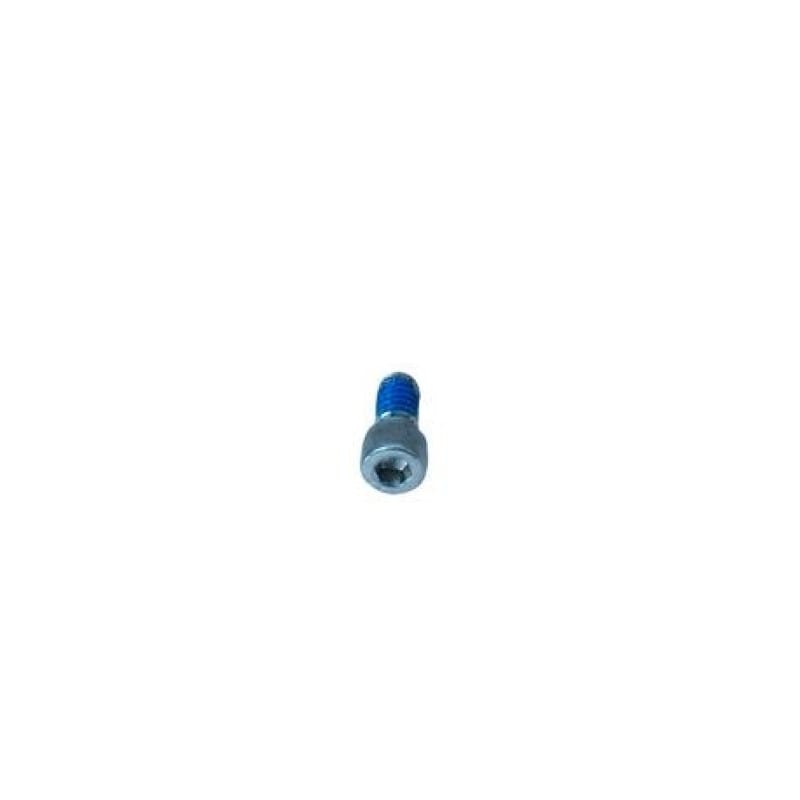 S&S Cycle — S&S Cycle 1/4-20 x 1/2 Socket Head Screw