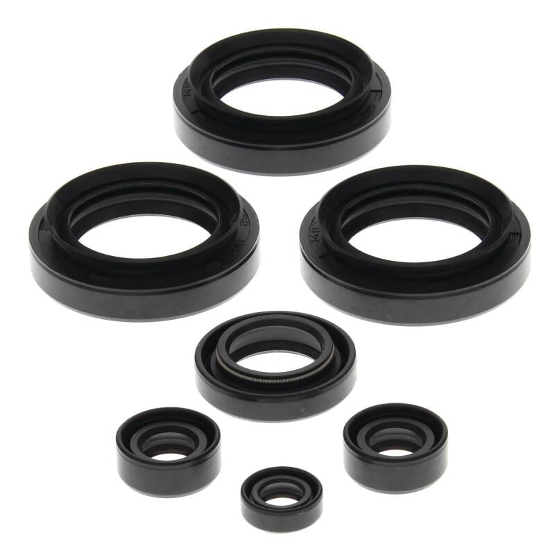 Vertex Pistons — Vertex Gaskets 99-05 Arctic Cat 250 2x4 Oil Seal Kit