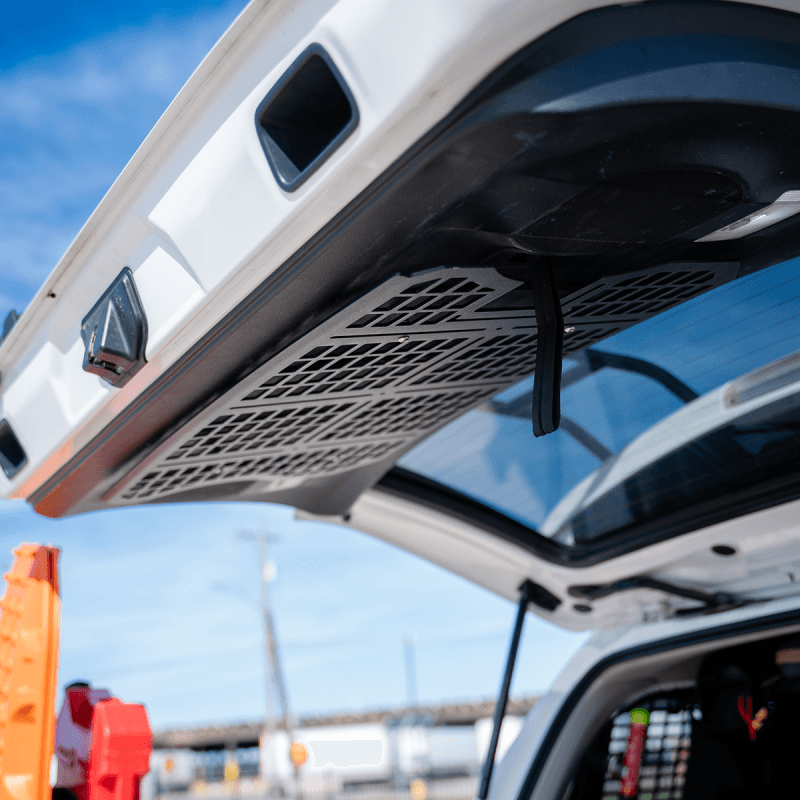 Cali Raised LED — Cali Raised Rear Hatch Molle Panel Fit 10-24 Toyota 4Runner