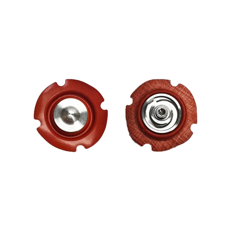 Snow Performance — Snow Performance Compact Regulator Rebuild Kit
Regulator Rebuild Kt