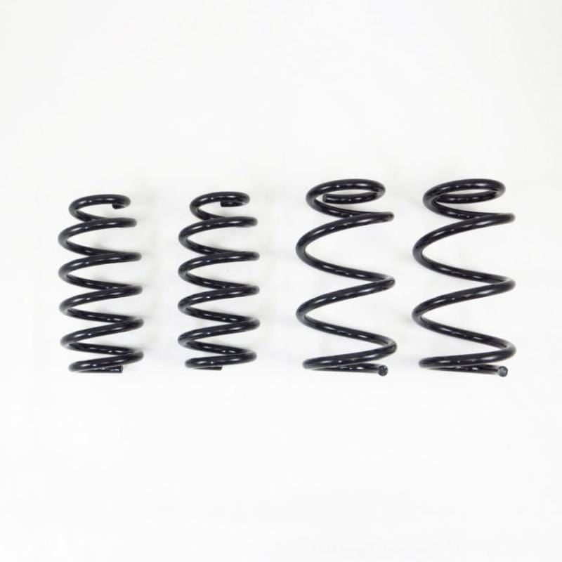 RS-R — RS-R 19+ Tesla Model 3 AWD Down Sus Springs