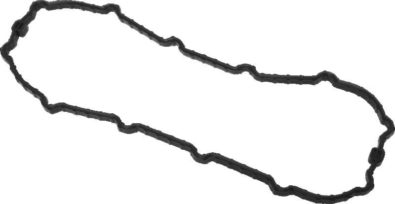 TwinPower — Fuel Pump Door Seal, Viton