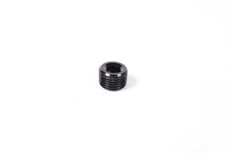 Radium Engineering — Radium Engineering 1/8in NPT Plug