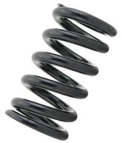 Tein — Tein Coilover Spring (Two Springs)