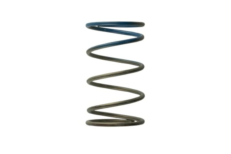 Turbosmart — Turbosmart WG40 10PSI Outer Spring Brown/Blue
Wastegate Spring