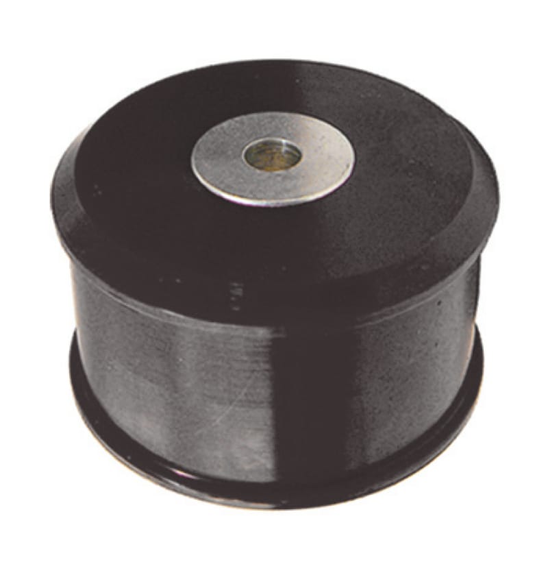 Prothane — Prothane 02-06 Nissan Sentra SE-R Front Motor Mount Insert - Black
ENGINE MOUNTS