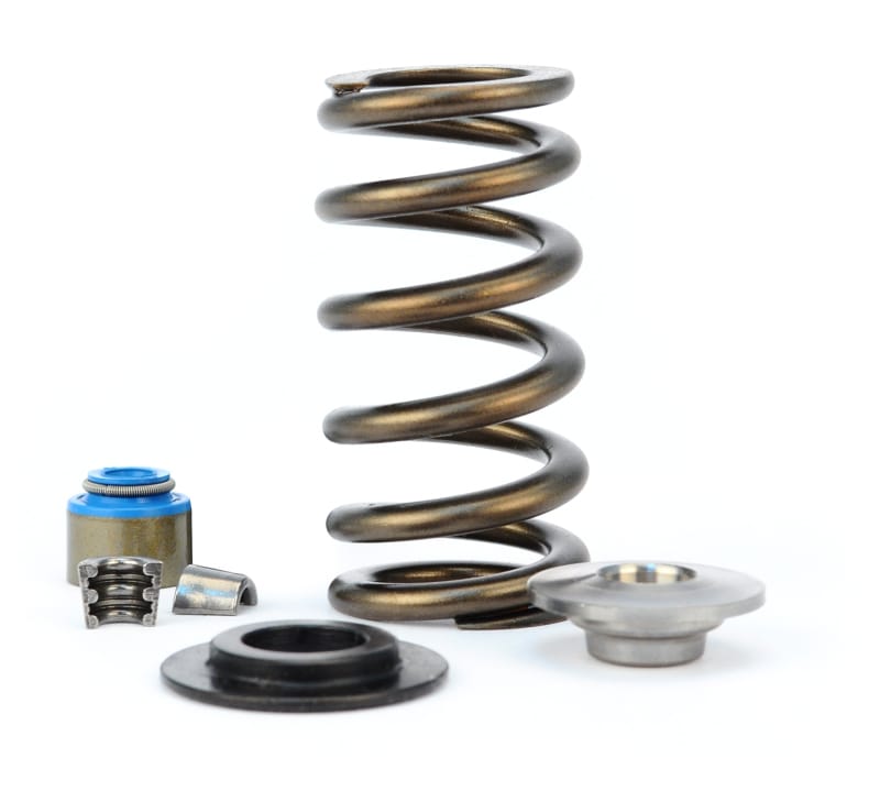COMP Cams — COMP Cams 11-14 Ford Coyote/Boss 5.0L .600in Max Lift Valve Spring Kit
CyteBeeSprnKit113cts