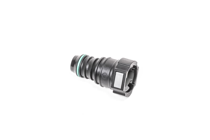 Radium Engineering — Radium Engineering 3/4in SAE Female to 3/4in Barb
FITTING
