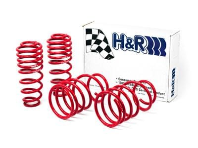 H&R — H&R 05-09 Ford Mustang/Convertible/GT/Shelby GT/Shelby GT-H V6/V8 Race Spring
Race Spring