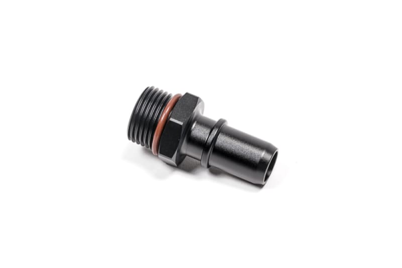 Radium Engineering — Radium Engineering 10AN ORB to 16mm SAE Male Adapter Fitting