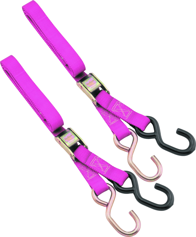 BikeMaster — BikeMaster 1in Tiedown - Pink