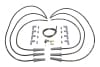 FAST — FAST Universal Cut-To-Fit FireWire Spark Plug Wire Set
Spark Plug Wireset