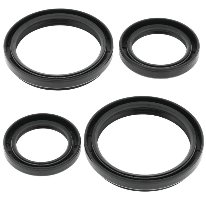 QuadBoss — QuadBoss 04-05 Arctic Cat 250 4x4 (2) Front Differential Seal Kit