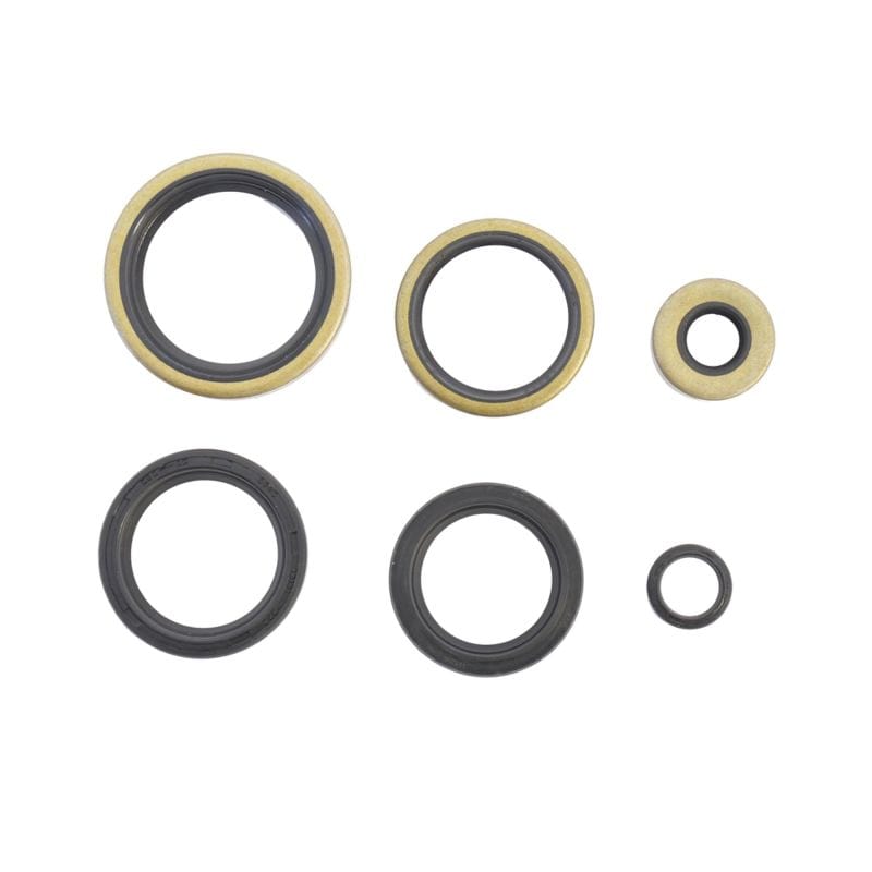 Athena — Athena Harley-Davidson Engine Oil Seal Kit