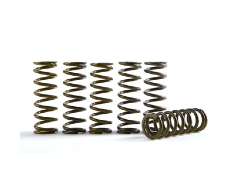 Hinson Clutch — Hinson Clutch 10-24 Suzuki RM-Z250 Hi-Temp Clutch Spring Kit - Set of 5