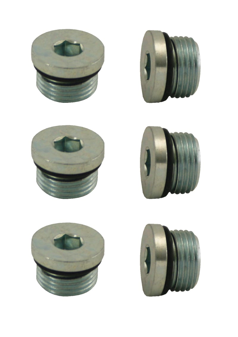 Moroso — Moroso Pipe Plug w/O-Ring -8An 3/4in-16 - Steel - 6 Pack