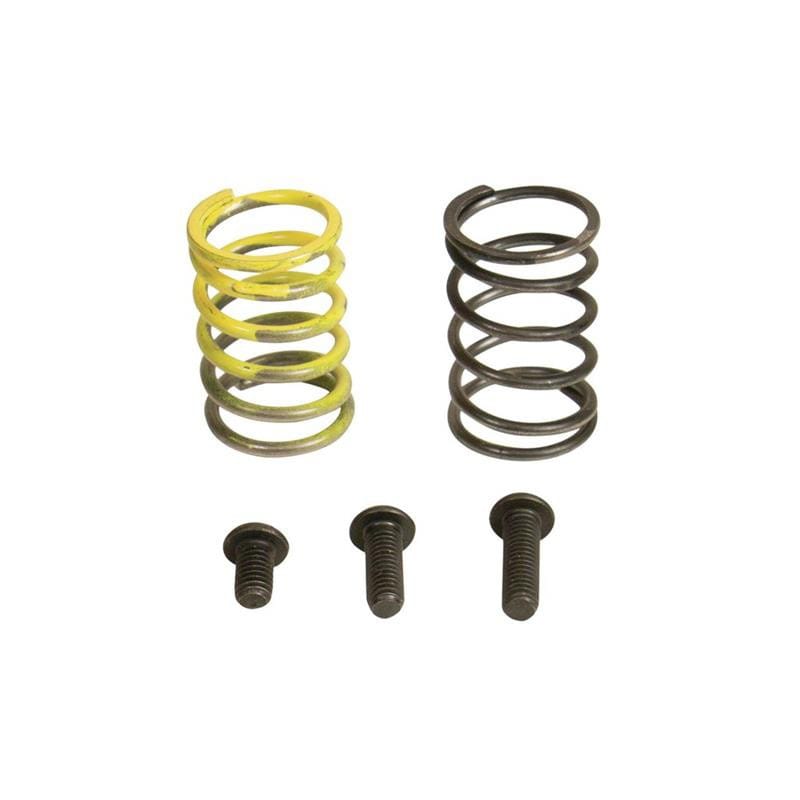 Industrial Injection — Industrial Injection 94-98 Dodge 12V AFC Spring Kit