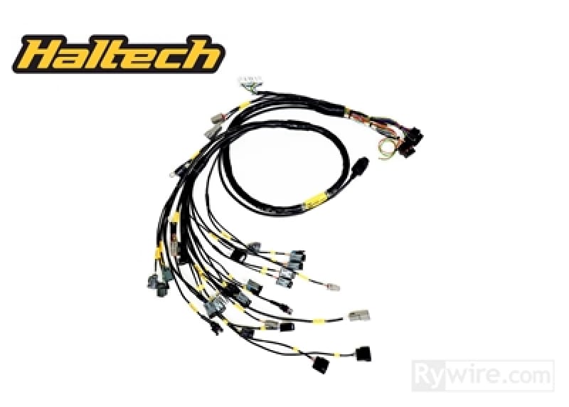 Rywire — Rywire K-Series Naturally Aspirated w/Haltech ELITE 1500+ Engine Harness (w/4 Inj / No EMAP/Boost)