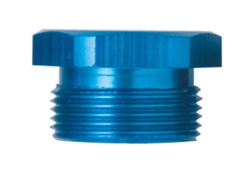 Fragola — Fragola 7/8-20 Inlet Plug -Blank