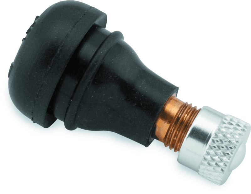 BikeMaster — TR412 with Metal Cap, Pair