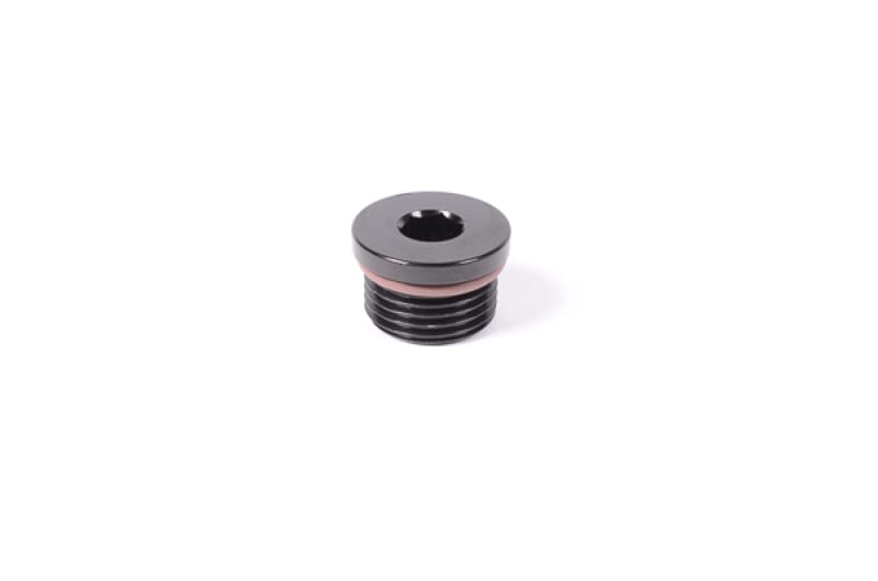 Radium Engineering — Radium Engineering 12AN ORB Plug
12AN ORB PLUG