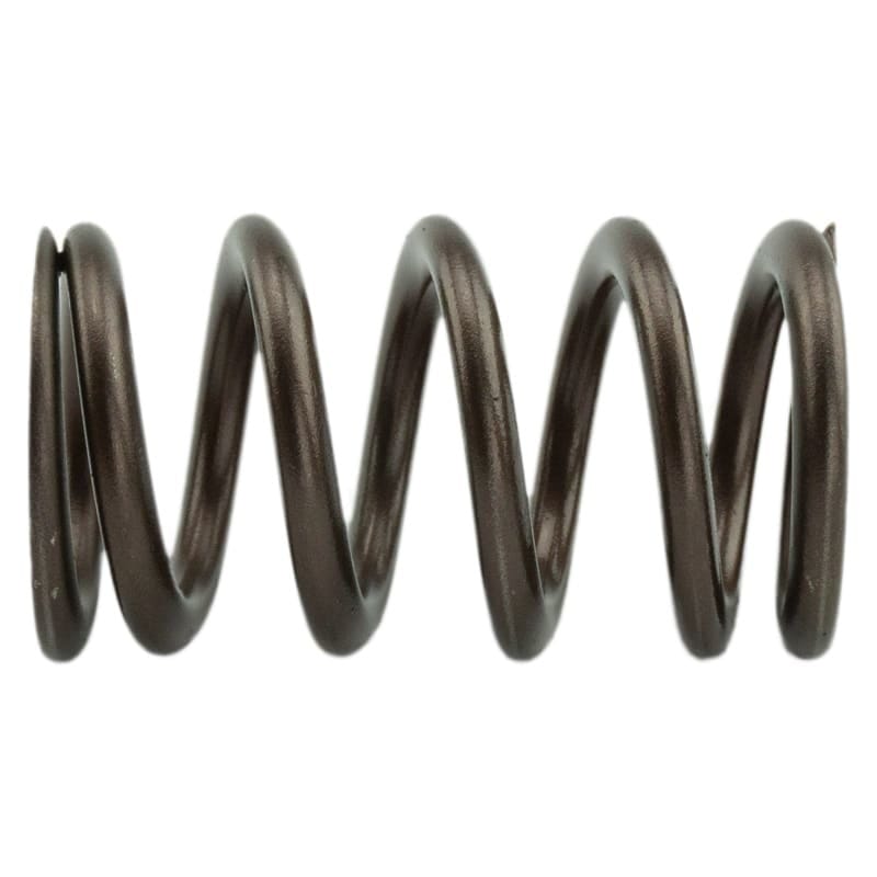 Industrial Injection — Industrial Injection 110 LBS Single Valve Spring Set