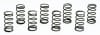 Moroso — Moroso Valve Checking Springs