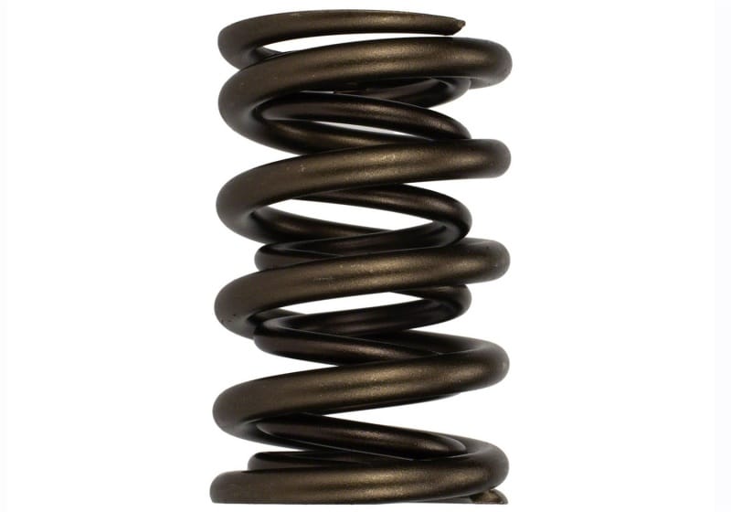 Ford Racing — Ford Racing Replacement Hydraulic Roller Valve Spring - Single (For M-6049-SCJA)
