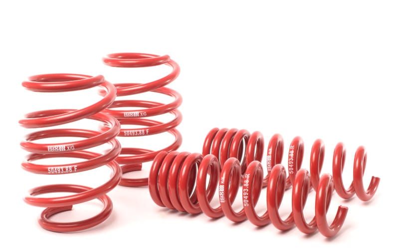 H&R — H&R 08-13 BMW M3 Coupe/M3 Sedan E92 Race Spring
Race Spring