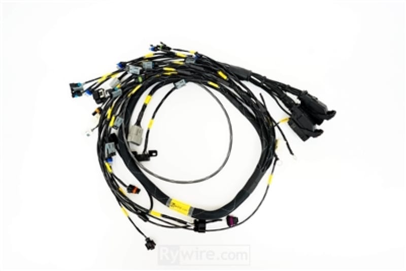 Rywire — Rywire GM LS3 V8 E38 ECU Engine Harness w/Bosch MAP Option (Req PDM/Fuse Box/Mating Connector)